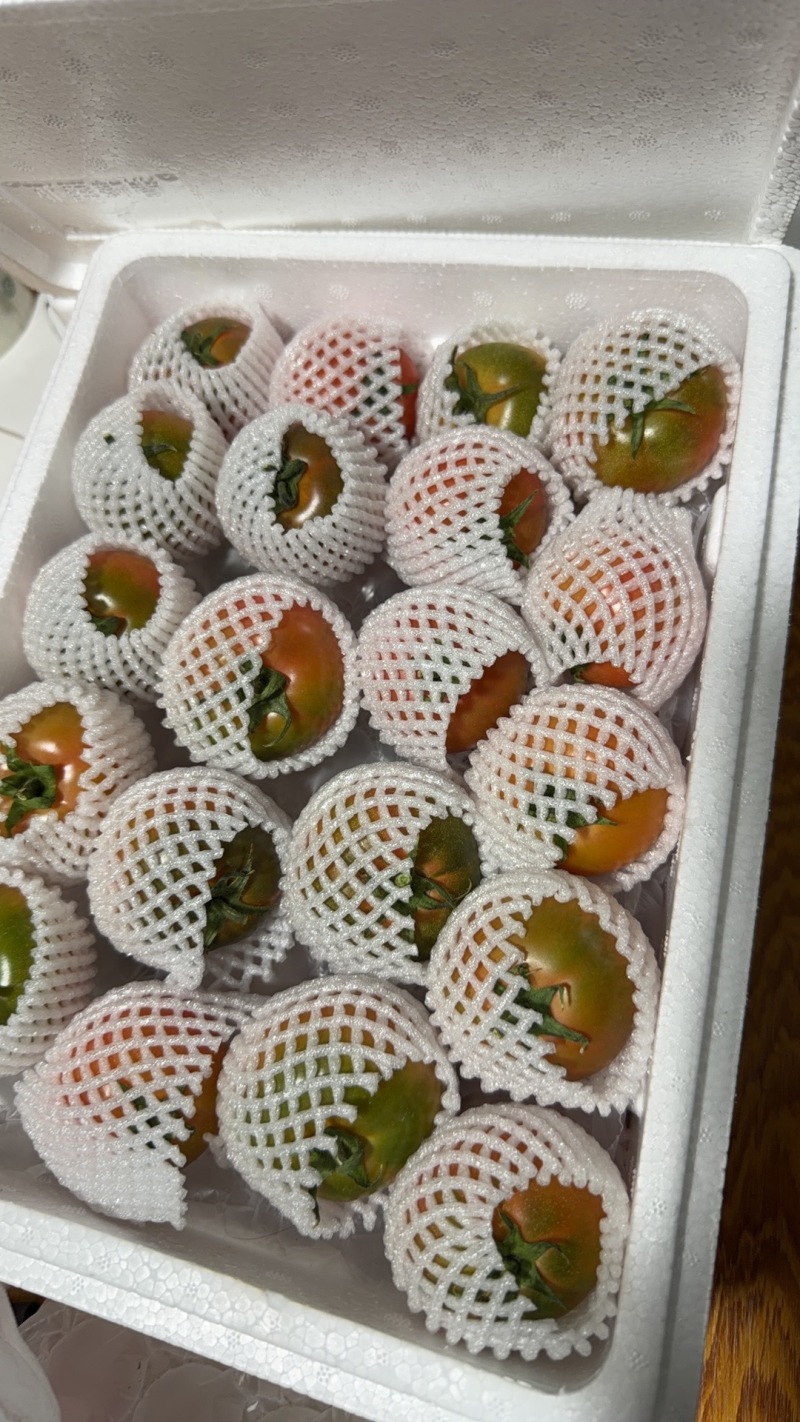 正宗盘锦碱地柿子