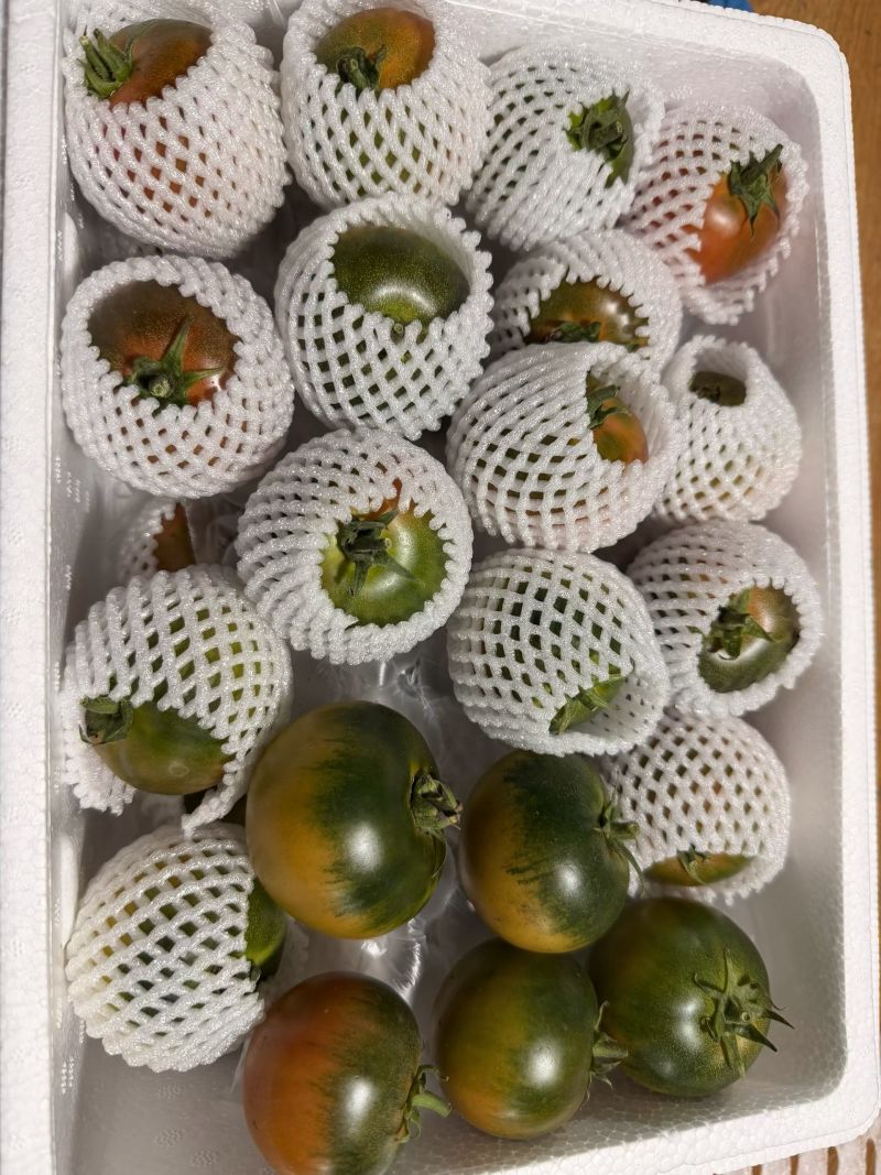 正宗盘锦碱地柿子