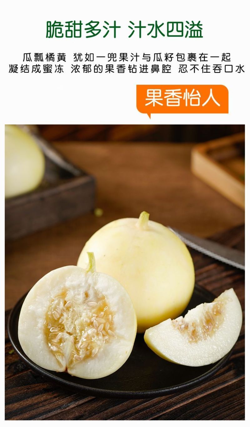 山东小蜜罐甜瓜成熟了专业一件代发电商市场