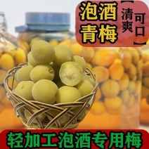 福建漳州青梅