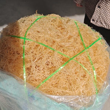 龙须菜