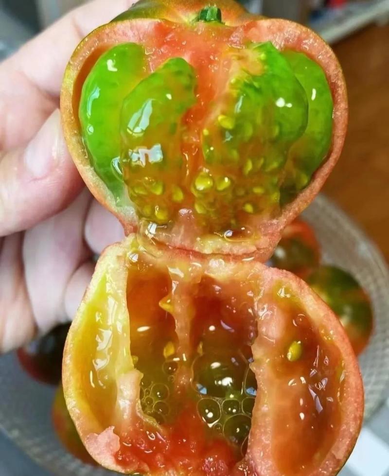 口感番茄