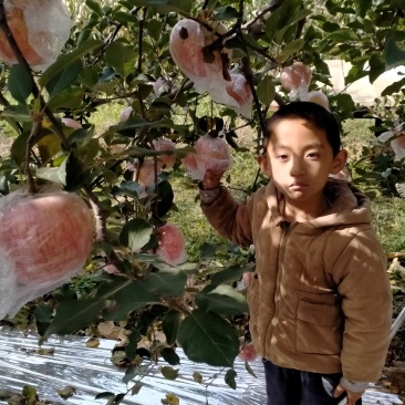 山西纸加膜