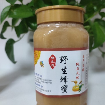 广东粤北野生蜂蜜