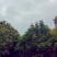 广西容县大山蜂蜜
