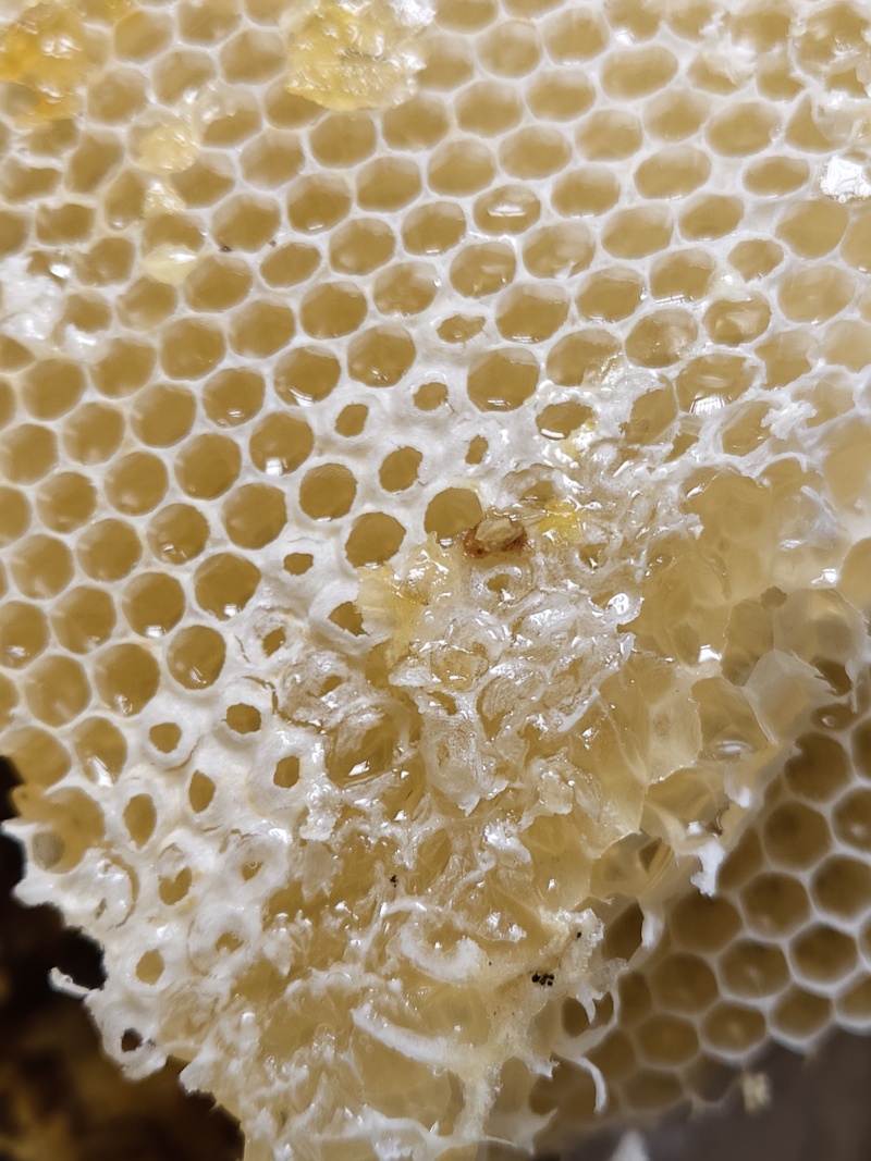 高山百花蜂蜜