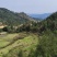 高山百花蜂蜜