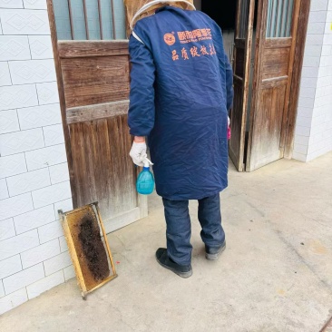 正宗土蜂蜜