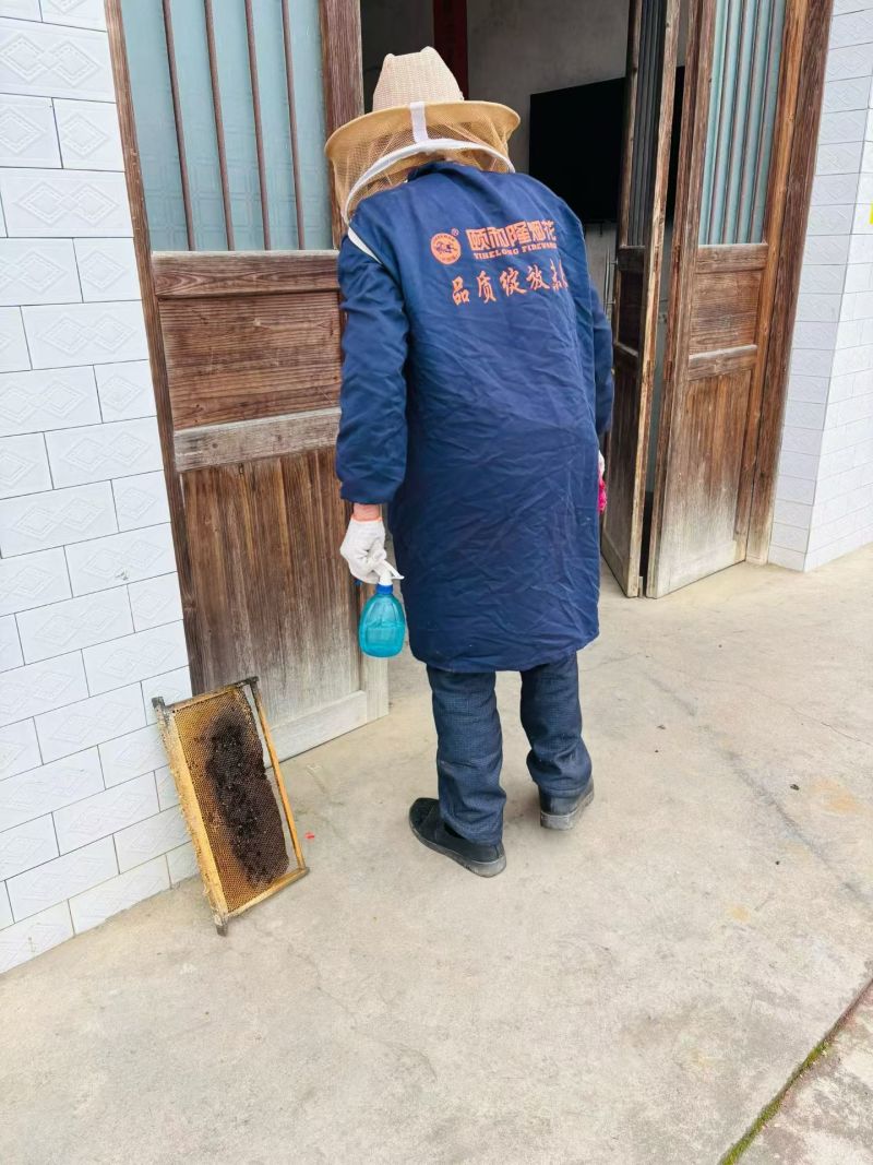 正宗土蜂蜜