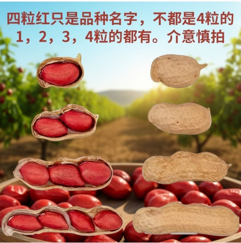东北原味带壳炒四粒红花生果