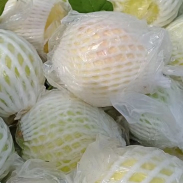 番石榴