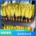 品质优越的金玉兰菜