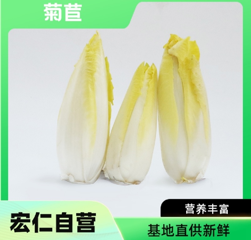 品质优越的金玉兰菜