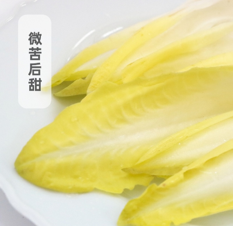 品质优越的金玉兰菜