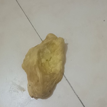 今天刚取出来的新鲜鸡宝