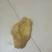 今天刚取出来的新鲜鸡宝