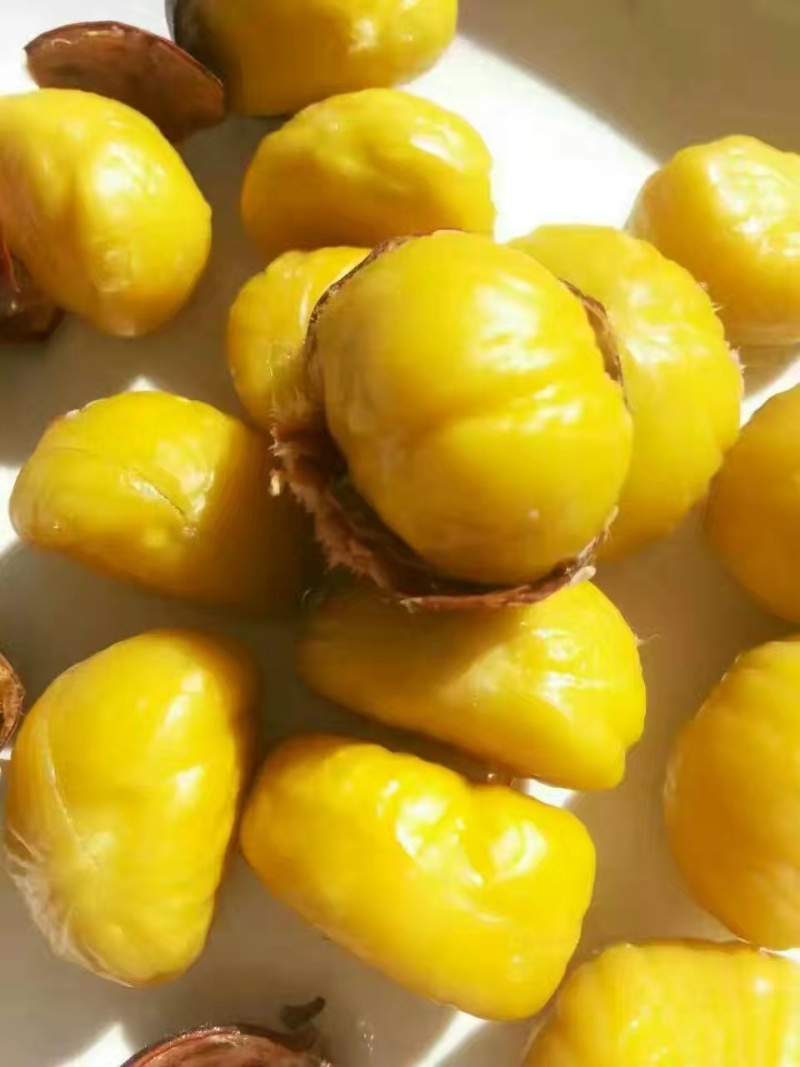 迁西板栗
