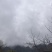 正宗贵州高山自然蜂蜜识货的来无任何添加