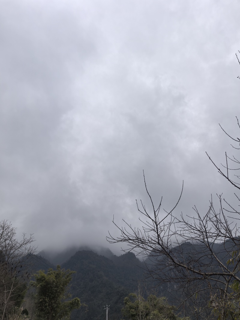 正宗贵州高山自然蜂蜜识货的来无任何添加