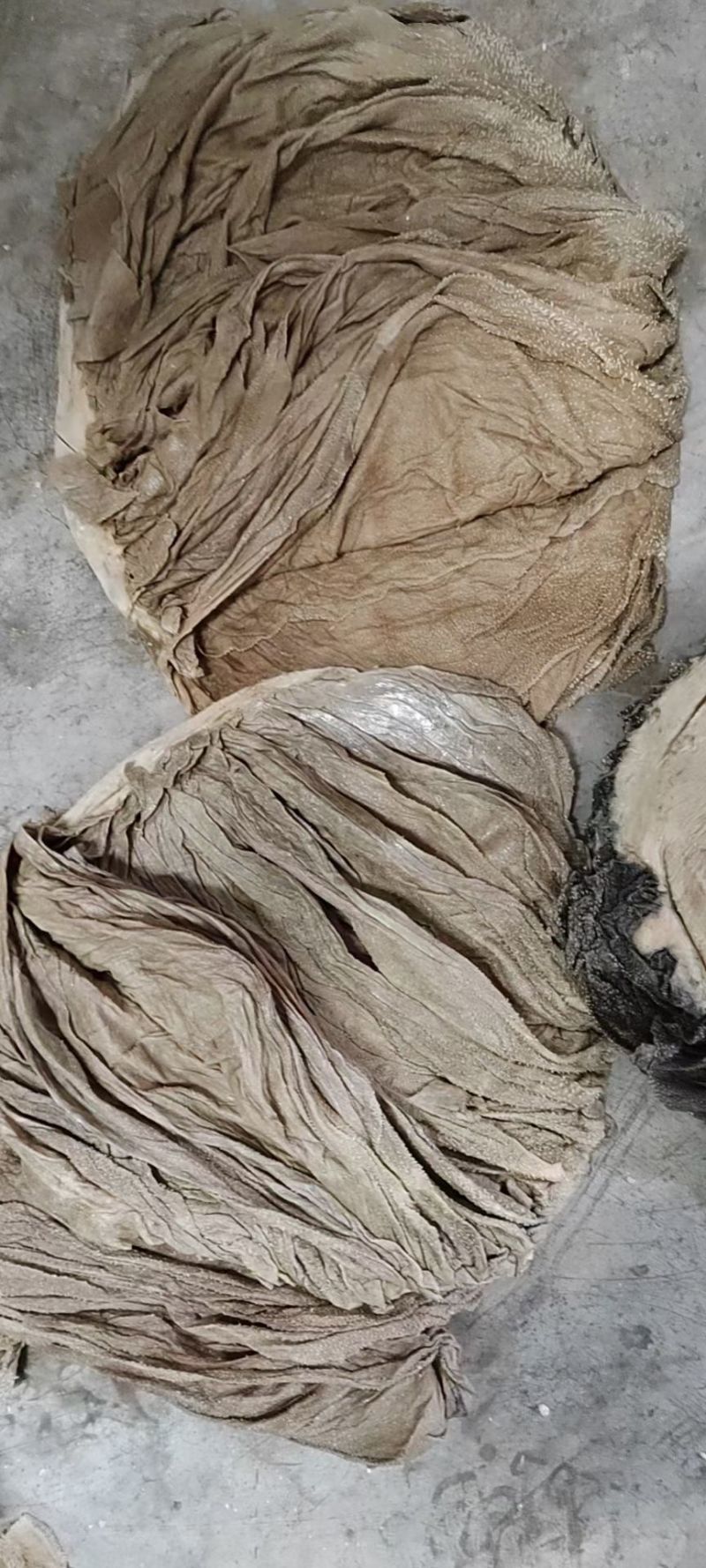 盐毛肚需要的私我