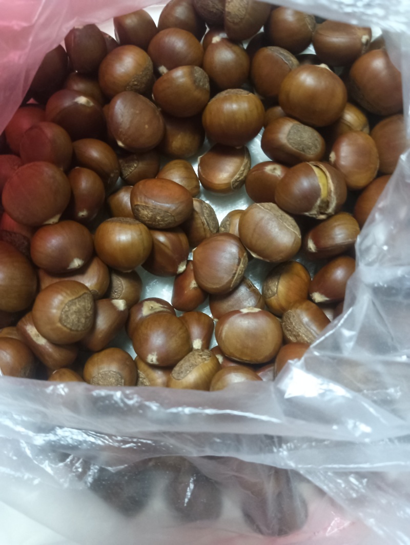 小板栗