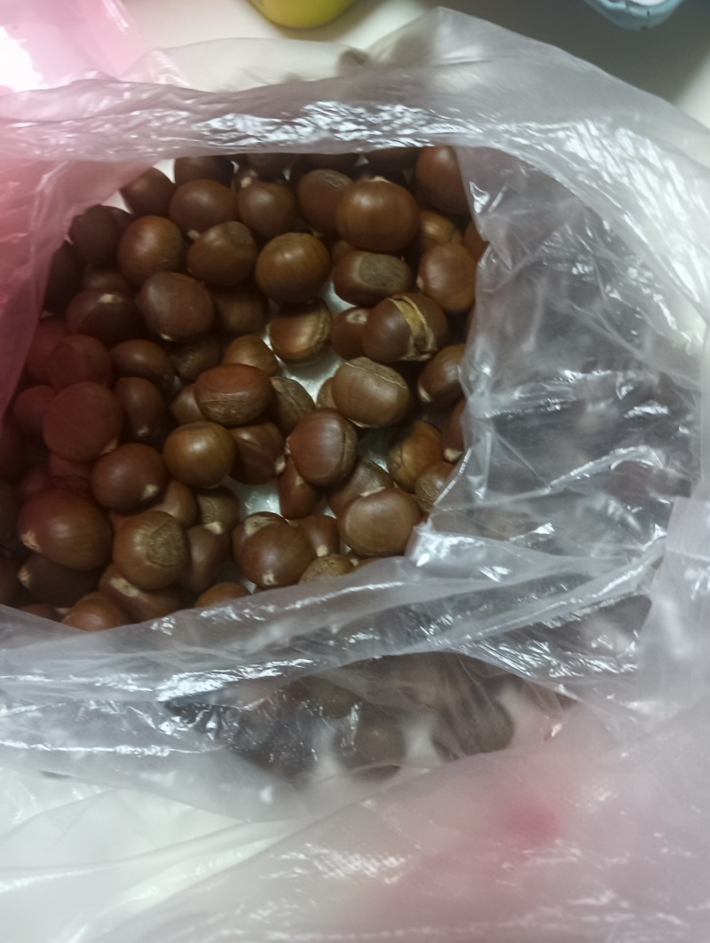 小板栗
