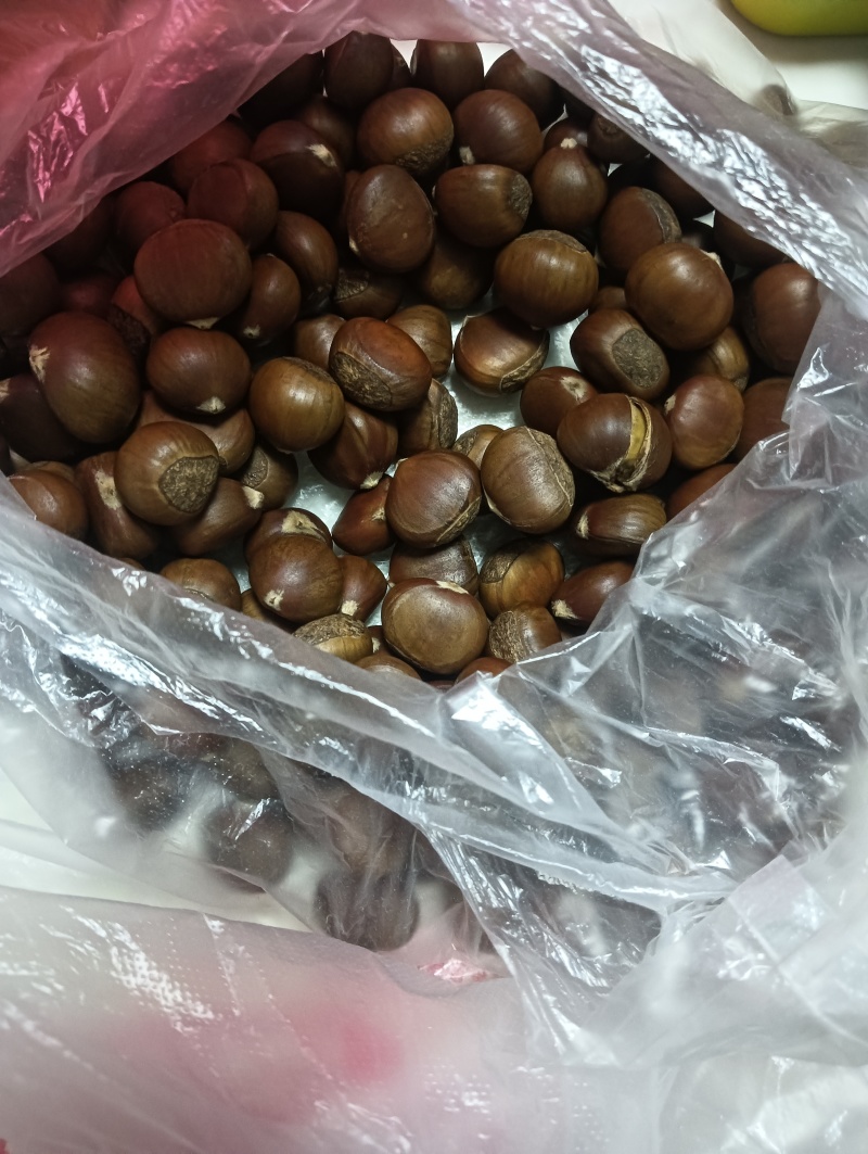 小板栗