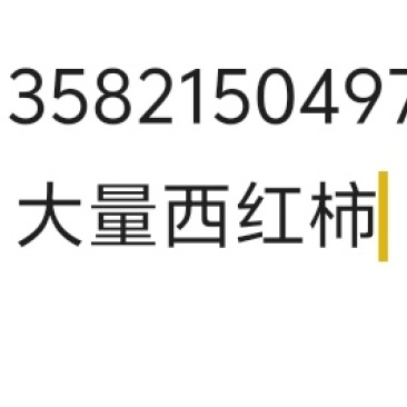 西红柿