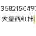 西红柿