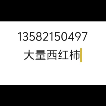 草莓西红柿普罗旺斯西红柿