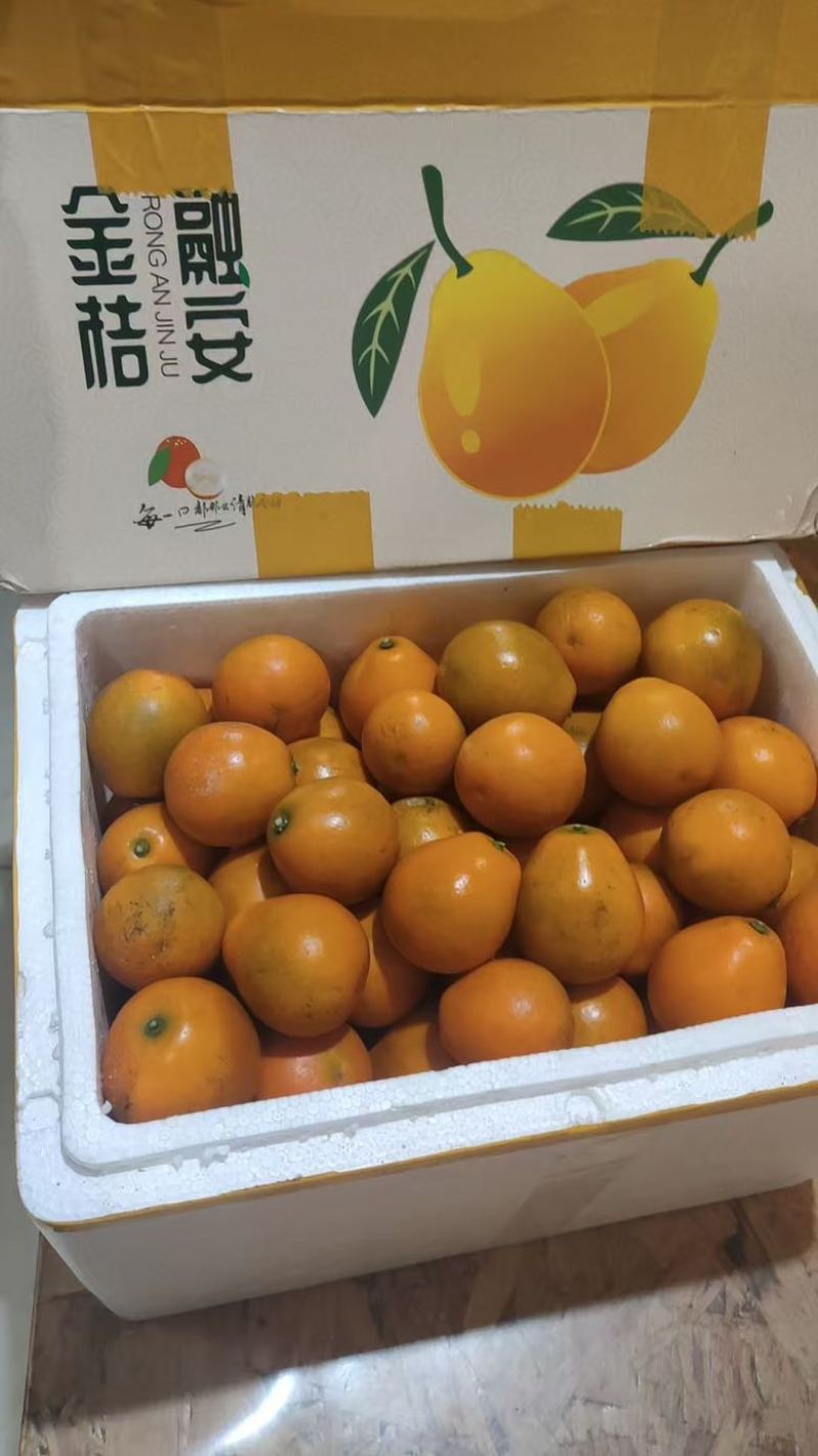 广西融安金桔（中大果），甜甜的很安心