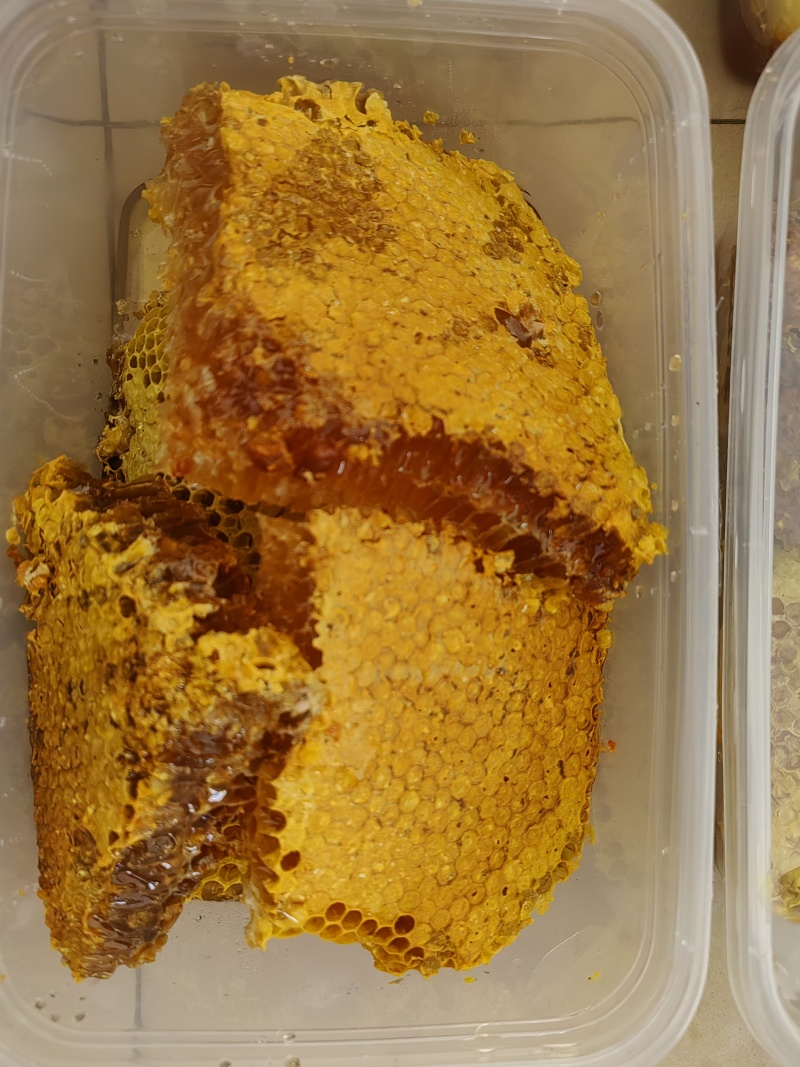 云南墨江深山土蜂蜜