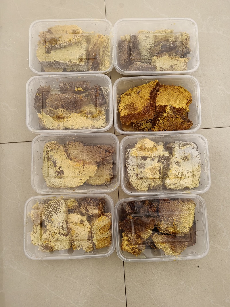 云南墨江深山土蜂蜜