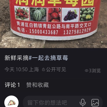 时令水果