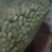 山东自家种的土花生，干花生
