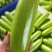 高质量西葫芦