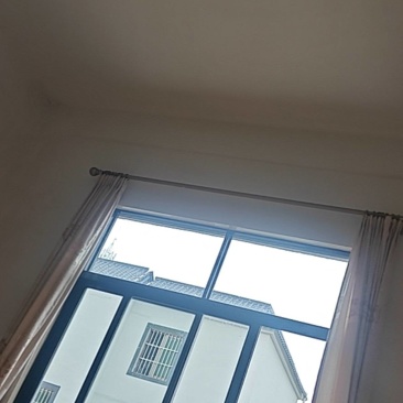 圣女果