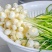 正宗小根蒜新鲜野葱薤白农家现挖
