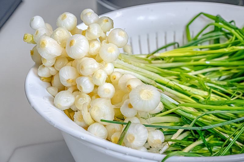 正宗小根蒜新鲜野葱薤白农家现挖