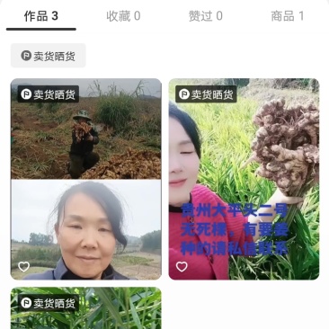 自家种植正宗贵州二黄菜姜，肉质紧实、辛辣味足，无死棵、无坏姜
