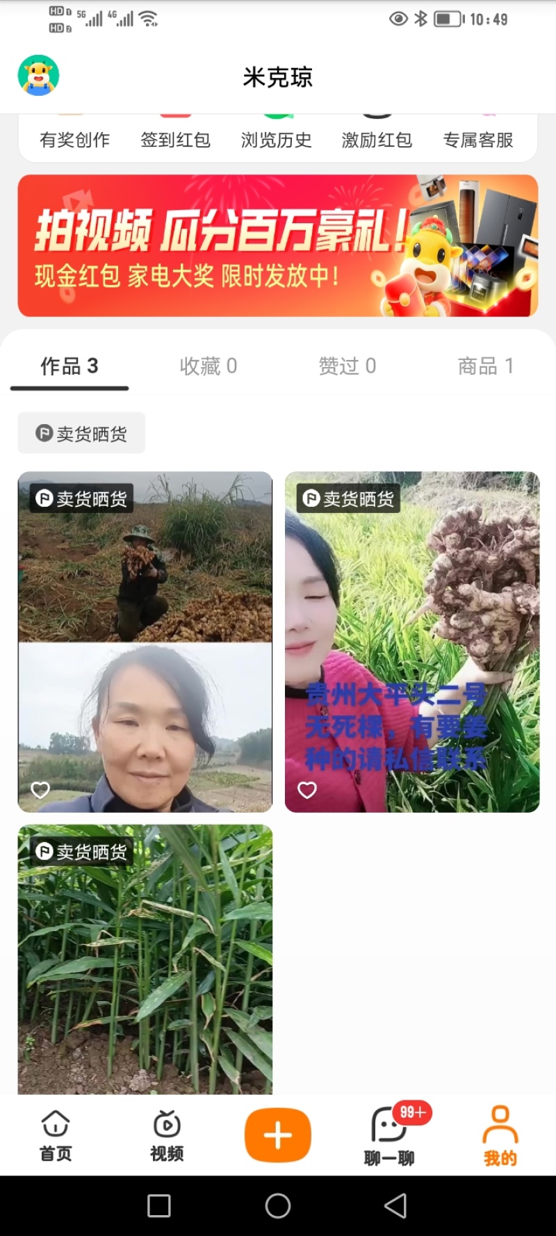 自家种植正宗贵州二黄菜姜，肉质紧实、辛辣味足，无死棵、无坏姜