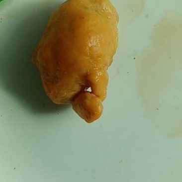 鸡宝