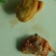 鸡宝