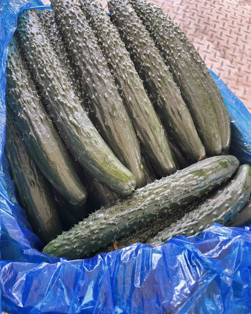 精品黄瓜