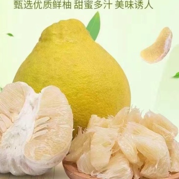江永香柚