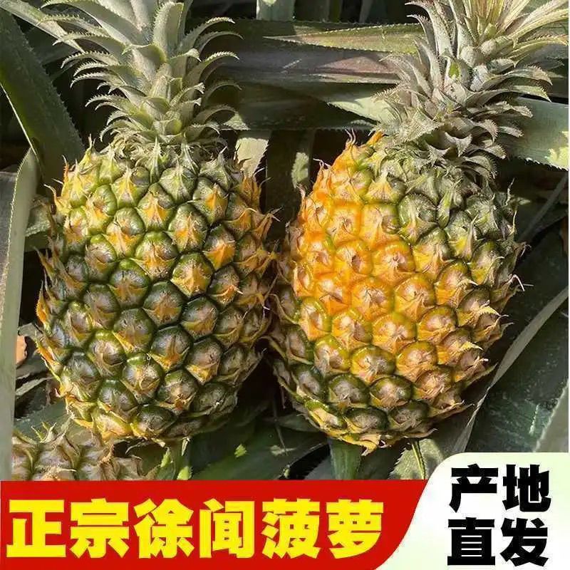 菠萝