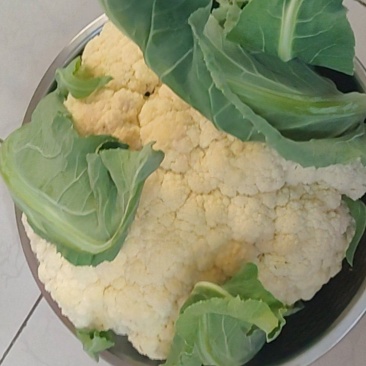 花菜