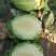 蔬菜，甘蓝，圆包菜