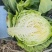 蔬菜，甘蓝，圆包菜
