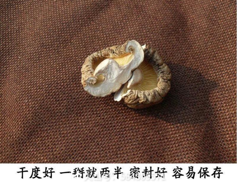 西夏优质干香菇